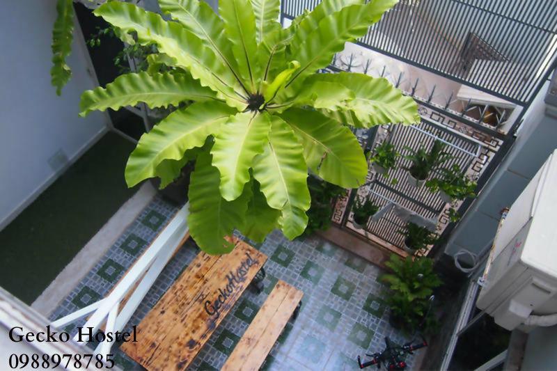 Gecko Hostel (Adults Only) Vung Tau Exterior foto